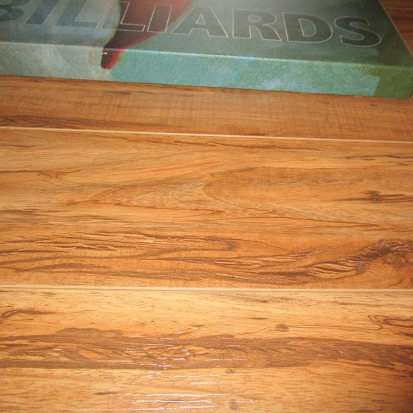 BILLIARDS Canvas NWT - Picture 4 of 7